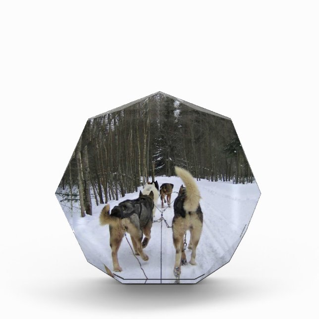 Dog Sledding in Quebec, Kanada Fotoblock (Vorderseite)
