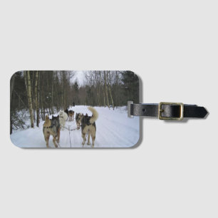 Dog Sledding in Quebec, Kanada Gepäckanhänger