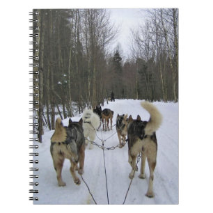 Dog Sledding in Quebec, Kanada Notizblock