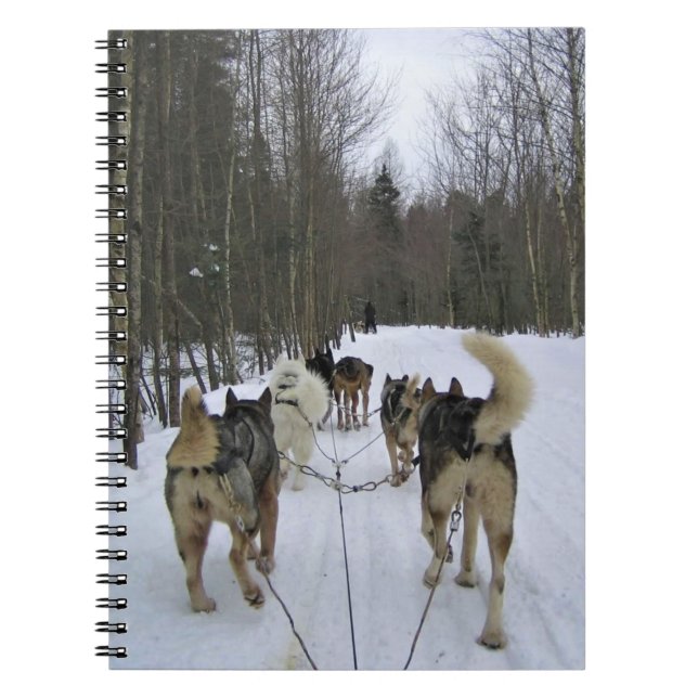 Dog Sledding in Quebec, Kanada Notizblock (Vorderseite)