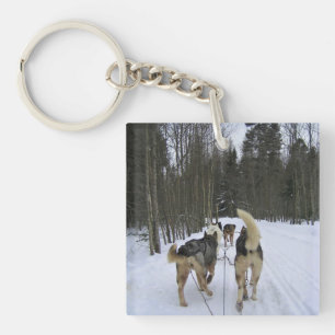 Dog Sledding in Quebec, Kanada Schlüsselanhänger