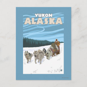 Dog Sledding Scene - Yukon, Alaska Postkarte