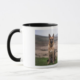 DOG-TASSE TASSE