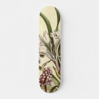 Dog Tooth Violet Skateboard