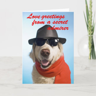 Dog Valentine Secret Admiral Grußkarte Jitka Feiertagskarte