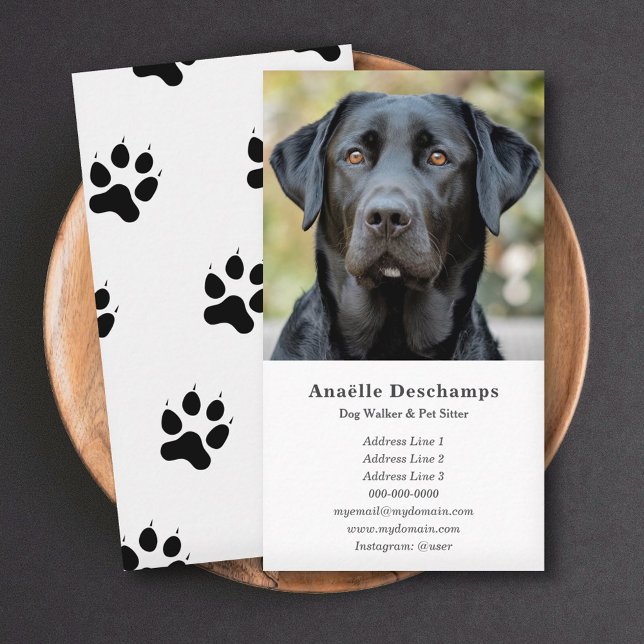 Dog Walker Pet Sitter Benutzerdefiniertes Foto Wei Visitenkarte (Dog Walker Pet Sitter Custom Photo White Business Card)