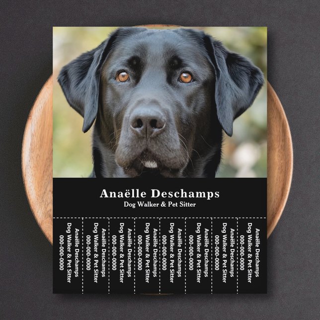 Dog Walker Pet Sitter Foto Abreißen Strips Flyer (Dog Walker Pet Sitter Photo Tear Off Strips Flyer)