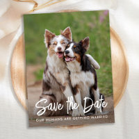 Dog Wedding Personalized Pet Photo Save The Date