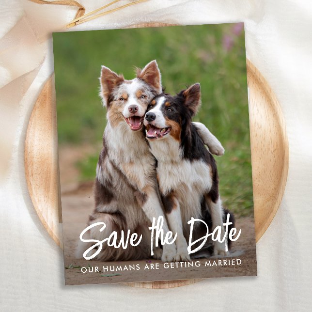Dog Wedding Personalized Pet Photo Save The Date Ankündigungspostkarte (Von Creator hochgeladen)