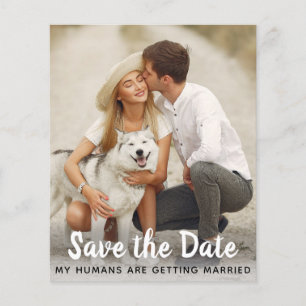 Dog Wedding Save the Date Budget QR Code Card
