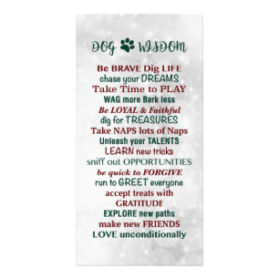 Dog Wisdom Zitat Fotodruck