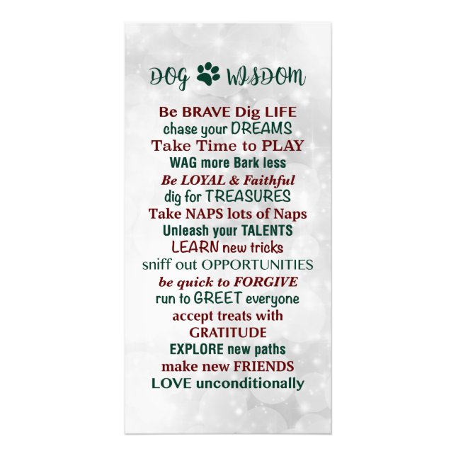 Dog Wisdom Zitat Fotodruck (Vorne)