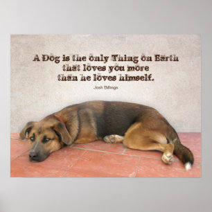 Dog Zitat Poster