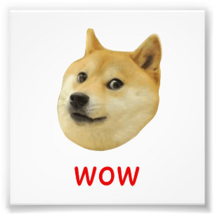 Doge sehr wow viel Hund solches Shiba Shibe Inu Fotodruck