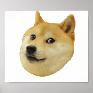 Doge sehr wow viel Hund solches Shiba Shibe Inu Poster