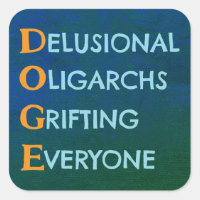 DOGE Wahnvorstellungen Oligarchen Grifting