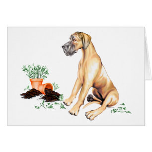 Dogge-freches Welpen-Kitz UC