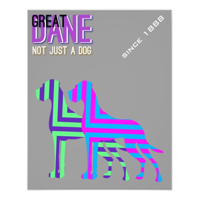 Dogge Poster (Vorne)
