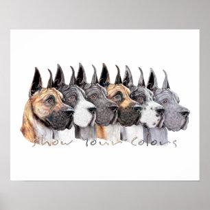 Dogge-Show färbt Gruppe Poster