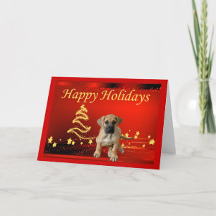 Dogge-Weihnachtskarten-Sterne Feiertagskarte