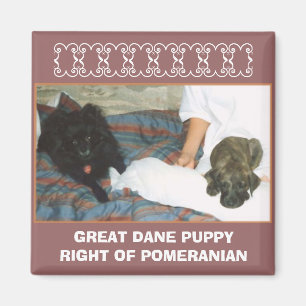 DOGGE-WELPE MAGNET