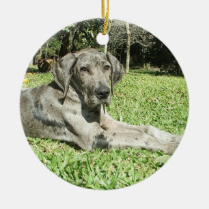 Dogge-Welpen-Verzierungen Keramikornament