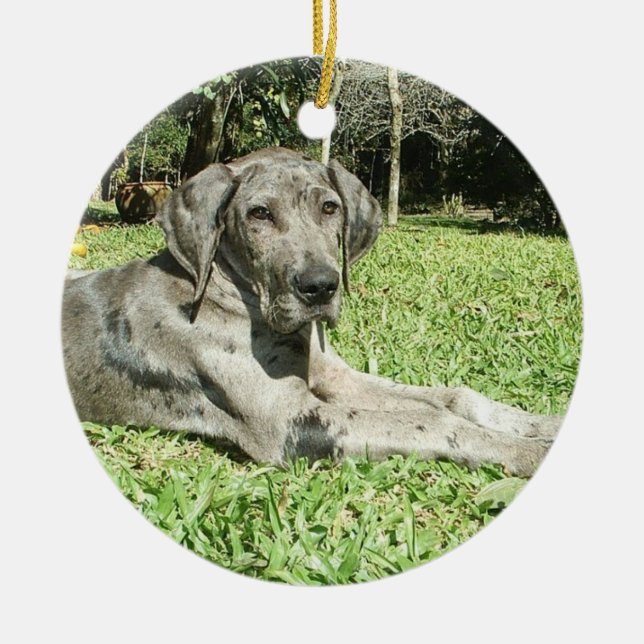 Dogge-Welpen-Verzierungen Keramikornament (Vorne)