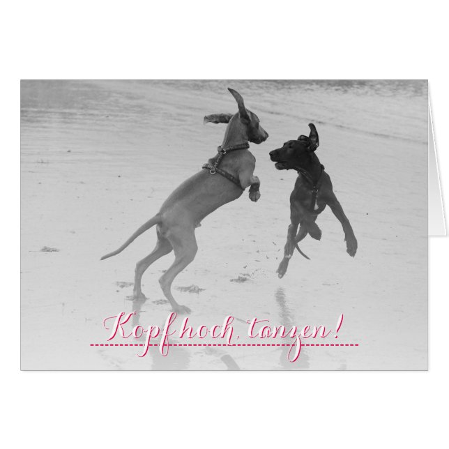 Doggenkarte Tanzen (Devant Horizontal)