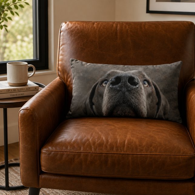Doggennase Kissen (Von Creator hochgeladen)