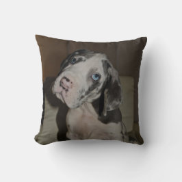 Doggenwelpe Kissen
