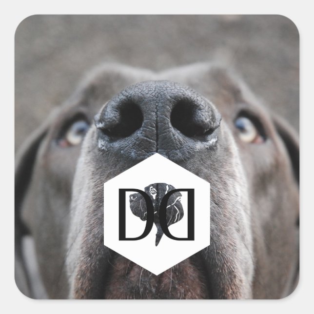 Doggenzucht Aufkleber (Vorderseite)