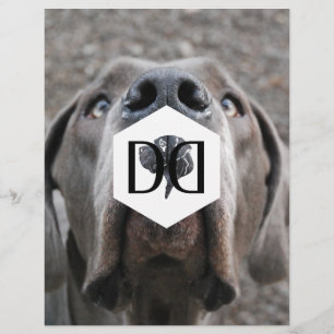 Doggenzucht Inventar Flyer