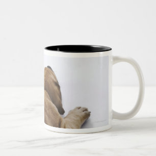 Doggewelpe, der sich im Studio, oben hinlegt Zweifarbige Tasse