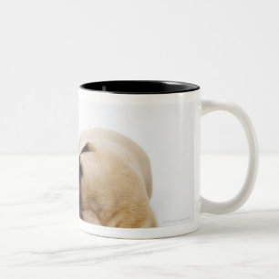 Doggewelpen, die nebeneinander herein schlafen zweifarbige tasse
