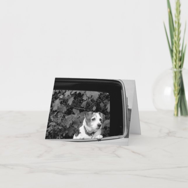 Doggie dans la carte de note de la fenêtre (Devant)