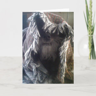 DOGGIE IN BLANKETS SAGT "HELLO" KARTE