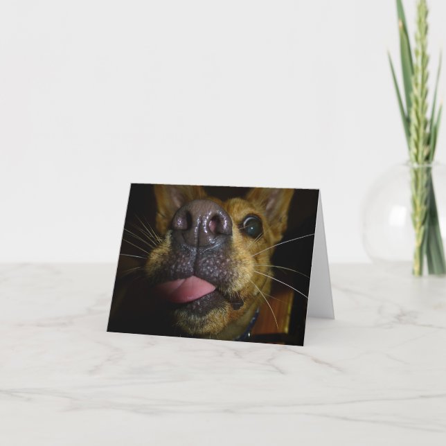 Doggie Kisses Mitteilungskarten (Vorderseite)