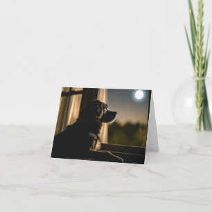 Doggy Dans La Fenêtre