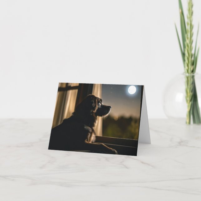 Doggy Dans La Fenêtre (Devant)