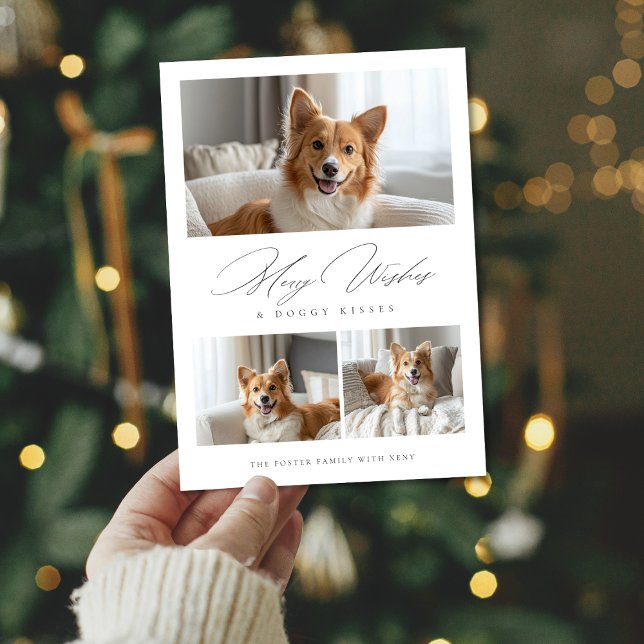 Doggy Kisses Funny Dog 3 Foto Moderne Weihnachten (Von Creator hochgeladen)