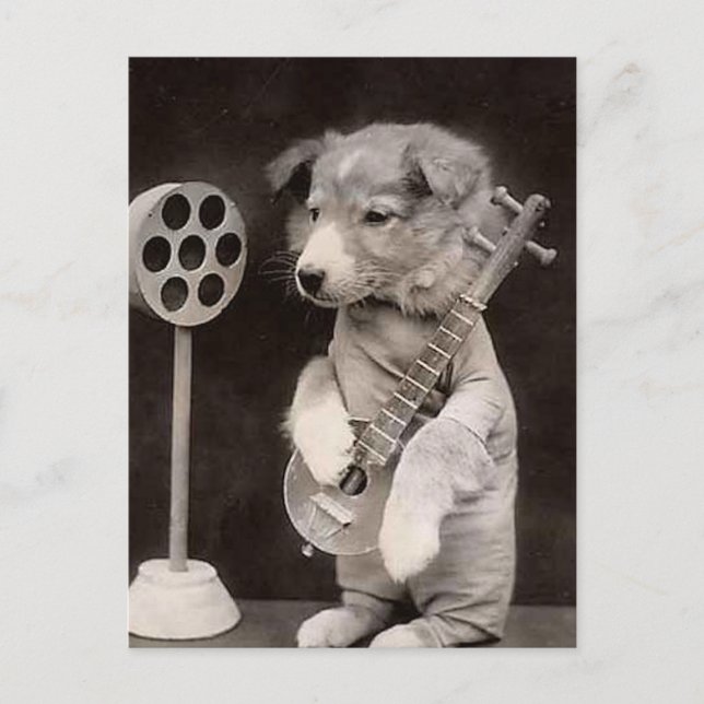 Doggy Radio Star Postkarte (Vorderseite)