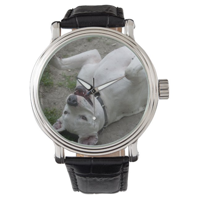 Dogo Argentino Armbanduhr (Vorderseite)