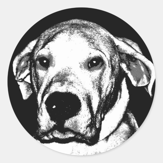 Dogo argentino Aufkleber (Vorderseite)