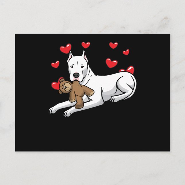 Dogo Argentino Dog With Stuffed Animal And Hearts Postkarte (Vorderseite)