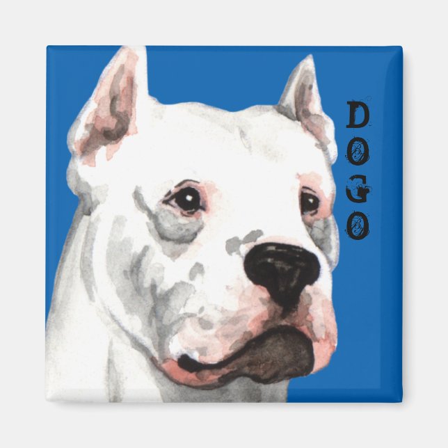 Dogo Argentino Farbblock Magnet (Vorne)