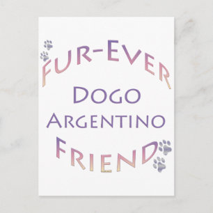 Dogo Argentino Furever Postkarte