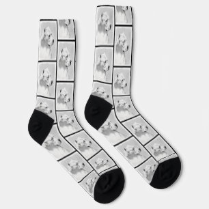 Dogo Argentino Malerei Mastiff Originale Hunde Kun Socken