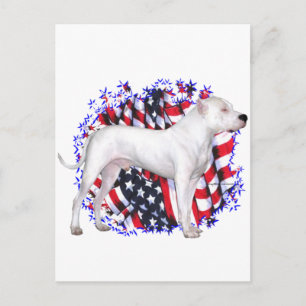 Dogo Argentino Patriot Postkarte