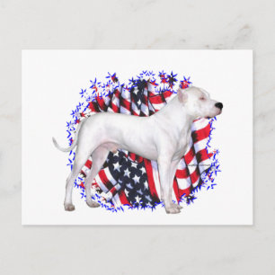 Dogo Argentino Patriot Postkarte