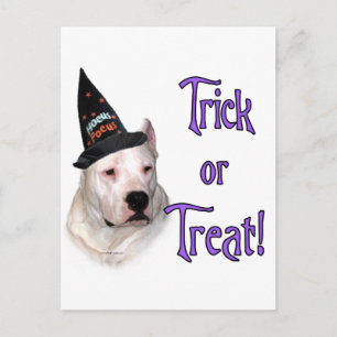 Dogo Argentino Trick Postkarte
